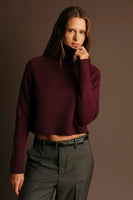 Deluc Clothing Pugliese Turtle Neck Sweater Style 9884D in Wine; wine colored fall turtle neck sweater; Burgundy Turtle Neck Sweater