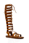 Free PEople Sun chaser Tall Gladiator Sandal Style OB1627916 in Tan; 